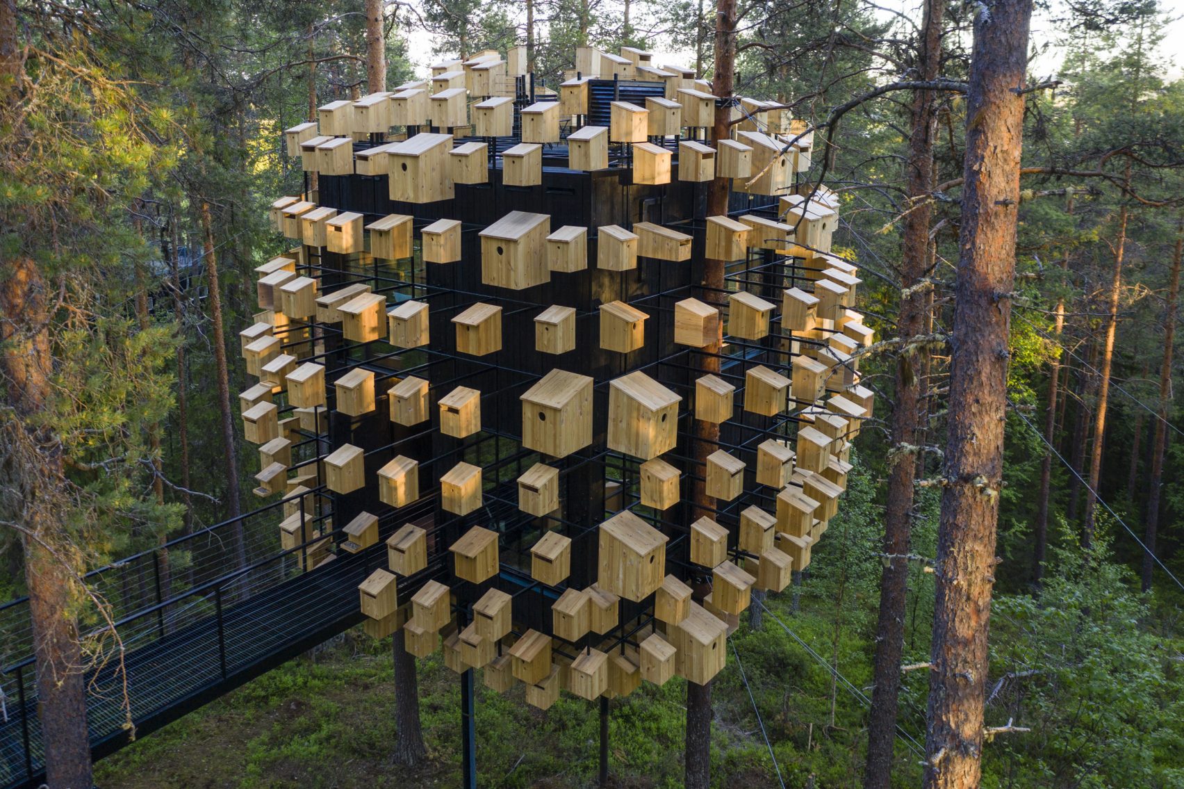 Big Treee House - Hotel