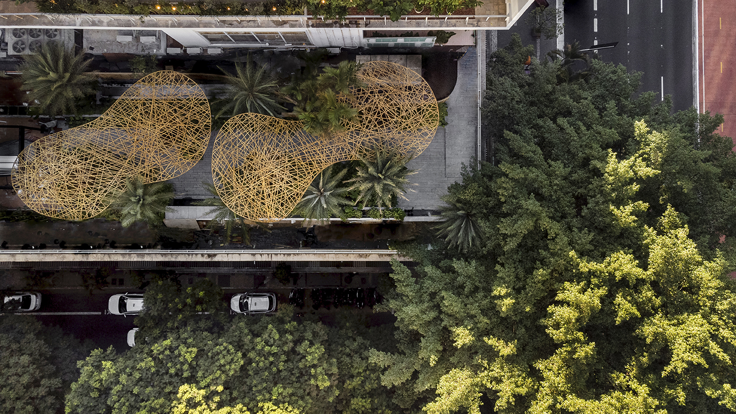 Thiago Borges Arquitetura da Paisagem - Jardim dos Quatro Elementos. Projeto da CASACOR São Paulo 2024.