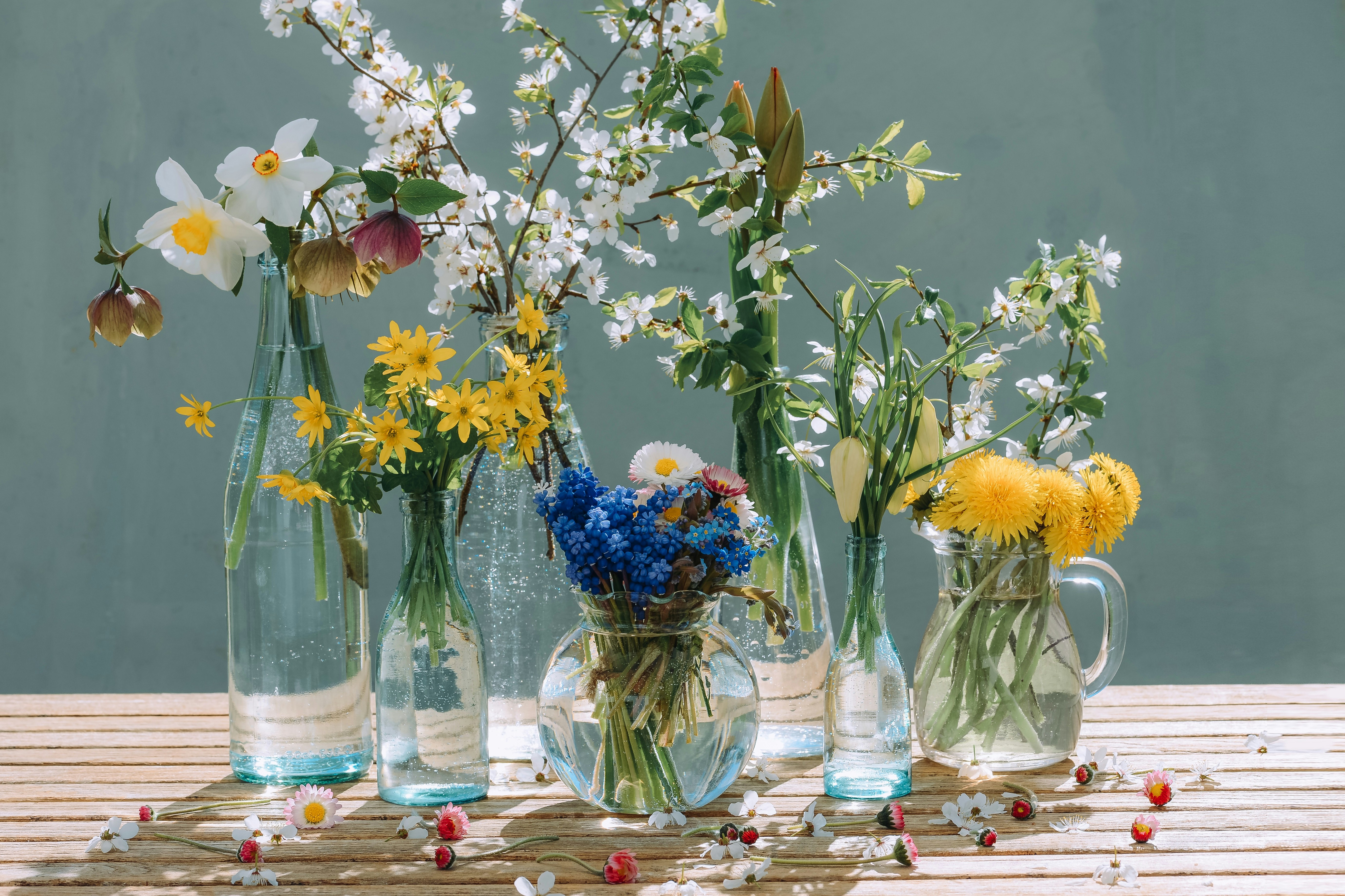 vasos flores